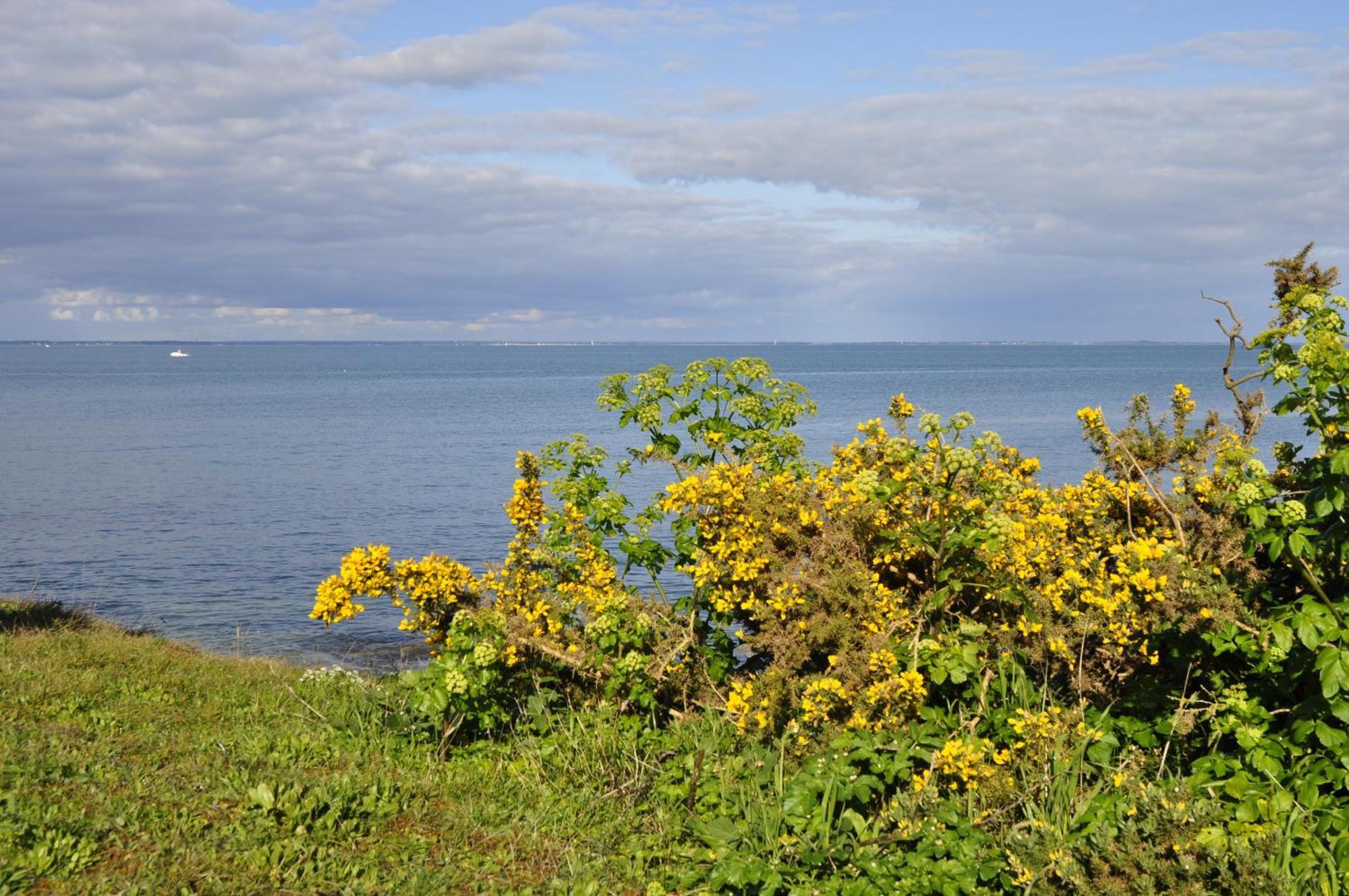 Panorama Vue Mer Quiberon Pokoj fotografie