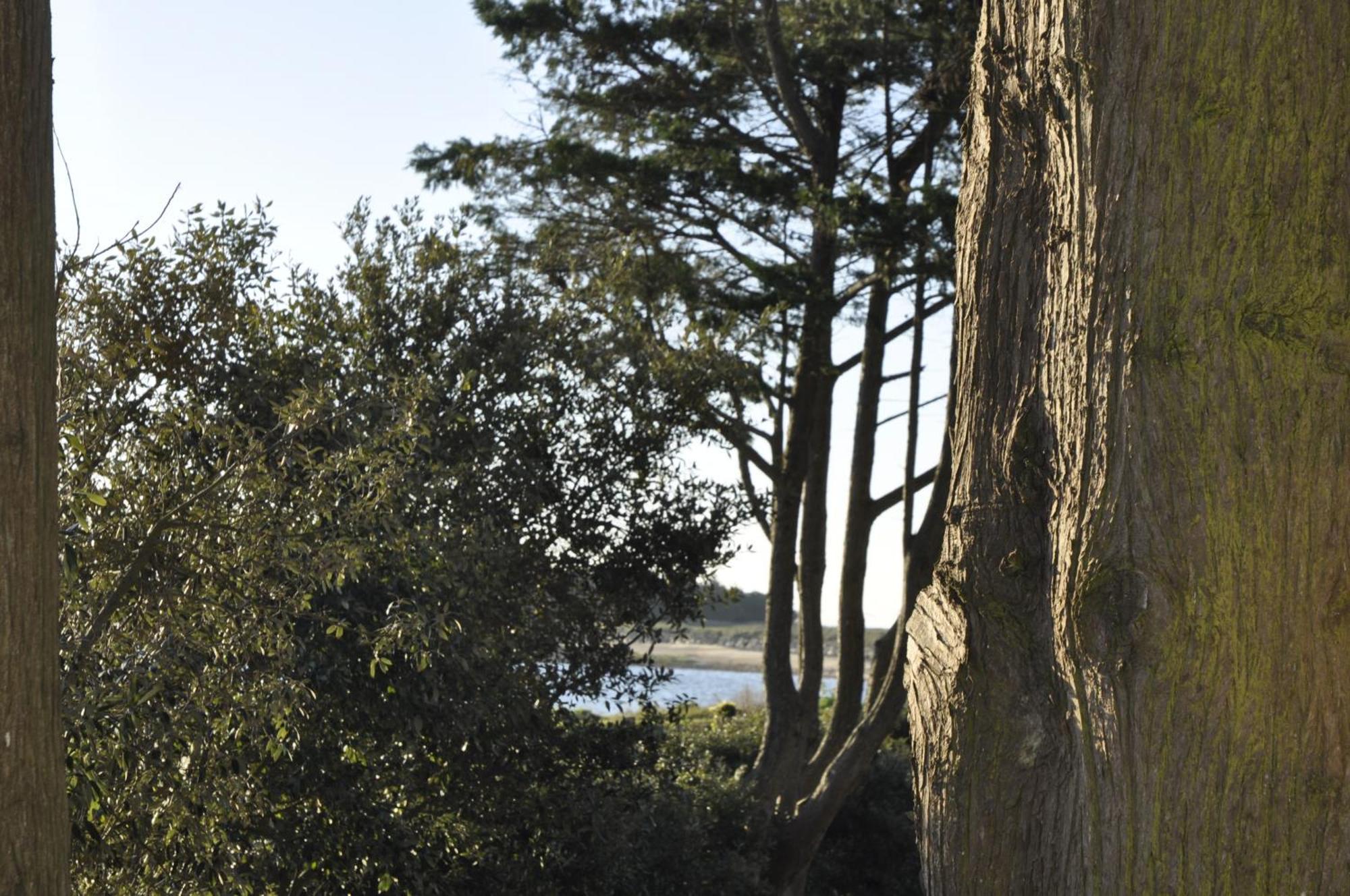 Panorama Vue Mer Quiberon Exteriér fotografie